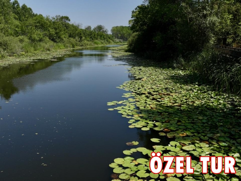 İğneada