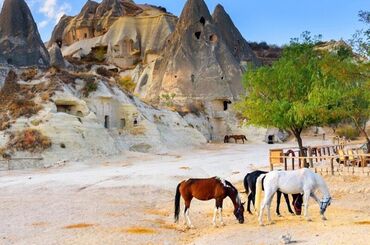 Güzel Atlar Ülkesi Kapadokya