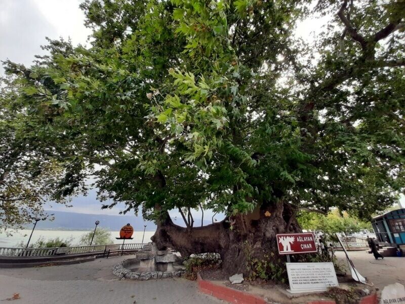 Sındırgı Obam Termal Otel