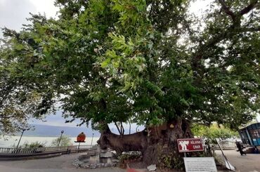 Sındırgı Obam Termal Otel