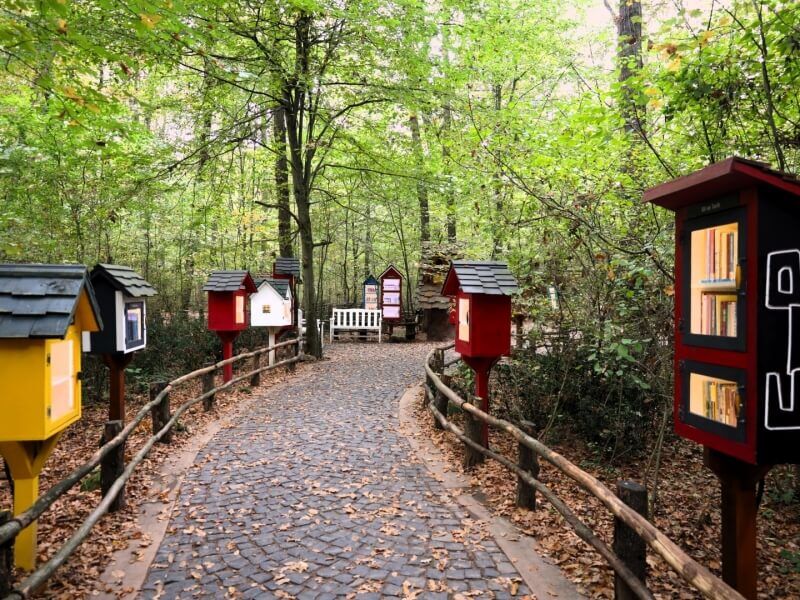 Maşukiye ve Ormanya