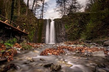 Maşukiye ve Ormanya