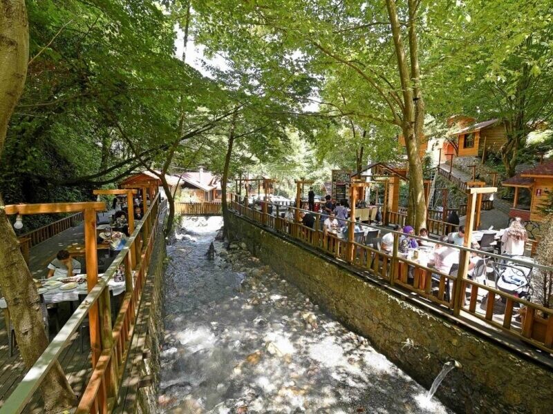 Maşukiye ve Ormanya