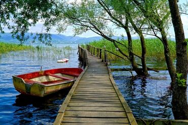 Maşukiye ve Ormanya